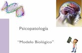 Psicopatolog­a modelo biologico