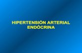 Hipertensión endócrina 2