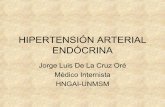 Hipertensión arterial endócrina. Jorge Luis De La Cruz Oré