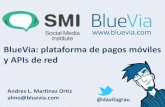 Blue Via   Plataforma De Pagos MóViles Y Ap Is De Red