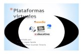 Plataformas virtuales ara, pily