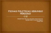 Fichas politicas segundo periodo