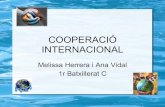 COOPERACIÓ INTERNACIONAL