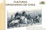 CULTURAS ORIGINARIAS DE CHILE