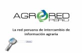 Presentacion AGRORED PERÚ: red de intercambio de información agraria