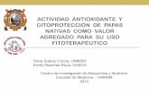 Actividad antioxidante y citoprotección de papas nativas como valor agregado para su uso fitoterapéutico