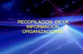 Recopilacion de la informacion organizacional