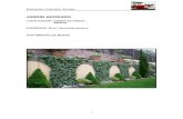 Jardín 62m Tratamiento muros Madrid (1999)- Estudio Carola Vives