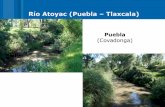Sistemas alternativos para: Protección costera y ribereña, parte 2; Agua, Reunión Regional en Puebla