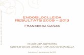 EndoBlocLleida 2009-2013