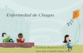 Actualizacion en el tratamiento de la enfermedad de Chagas