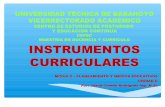 Instrumentos curriculares