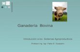 Introduccion A GanaderíA  Bovina Y Otros 2008