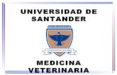 Semiologia veterinaria del sistema urinario