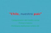 Chile mi país