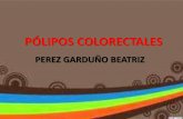 Pólipos colorectales