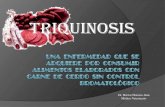 Triquinosis ipem 274