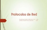 Protocolo de red