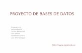 Proyecto De Bases De Datos