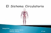 El sistema circulatorio y excretor - Peñaflor y Cabrera