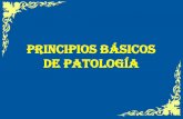 1. principios básicos de patología