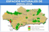 Diapositivas Espacios Naturales Andalucia