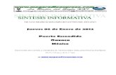 Sintesis informativa 05 01 2012