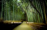 Helecho y el bambú