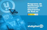 Programa mentoring en comercio electronico pyme rev