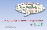 CV y teleproyectos en ECD.ppt