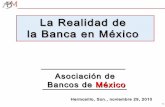 29-11-10 La Realidad de la Banca en México