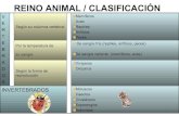 Clasificación de los animales...
