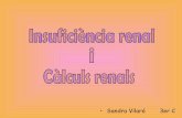 Insuficiència renal i càlculs renals (bg)