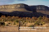 Atlas de Propiedad Social y servicios ambientales en México
