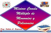 M.C.D. de Monomios y Polinomios