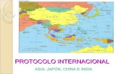 Protocolo internacional
