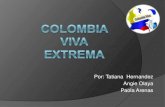 Diapositivas colombia viva (1)