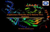 Clase 3 Arquitectura Molecular ProteíNas
