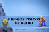 RIESGOS FISICOS (EL RUIDO)