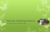 Hernia diafragmatica