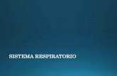 Semiología Ap. respiratorio