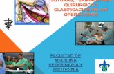 Suturas, terminologia quirurgica y clasificacion de las