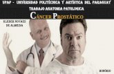 cáncer de próstata