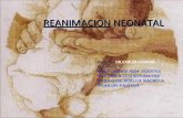 Reanimacion neonatal curso de neonatlogia uac-roy darwin nina fuentes