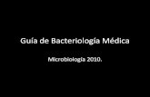 Guía de Bacteriología Médica