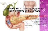 Insulina, glucagon y diabetes mellitus