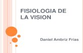 Fisiologia de la vision 3
