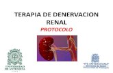 Denervacion renal