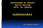 QUEMADURAS- ITPP 4