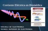 Corriente electrica en Biomedica 3.1 P6